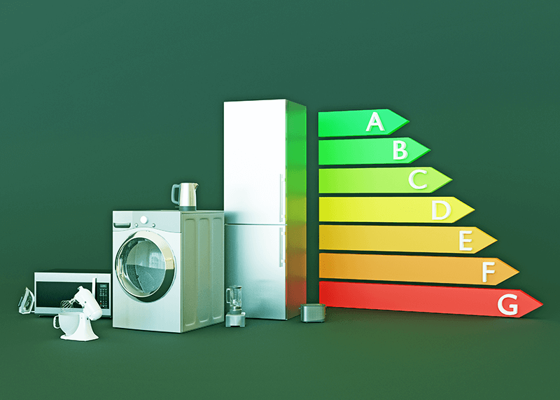 Modulo Etichette Energetiche